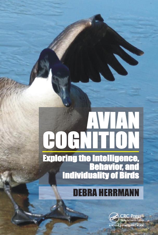 Avian Cognition