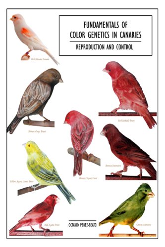 Fundamentals Of Color Genetics  in Canaries