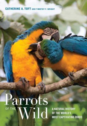 Parrots     of the Wild