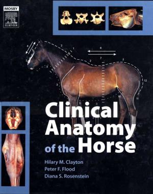 Clinical Anatomy  of the Horse