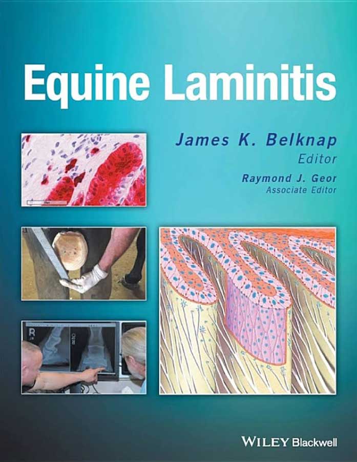 Equine Laminitis