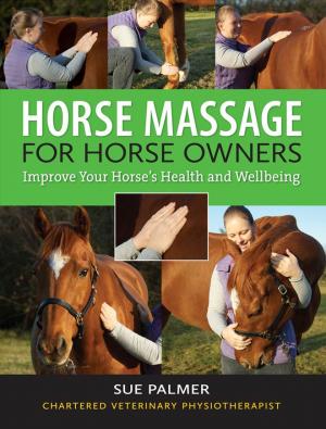 Horse Massage  for Horse Owners