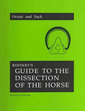 Pratical Guide To Lameness In Horses