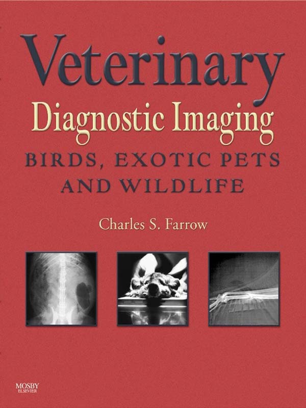 Veterinary Diagnostic  Imaging Birds Exotic  Pets and Wildlife