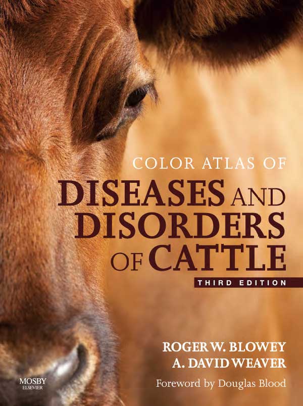 Color Atlas of Diseases  and Disorders of Cattle,  3rd Edition