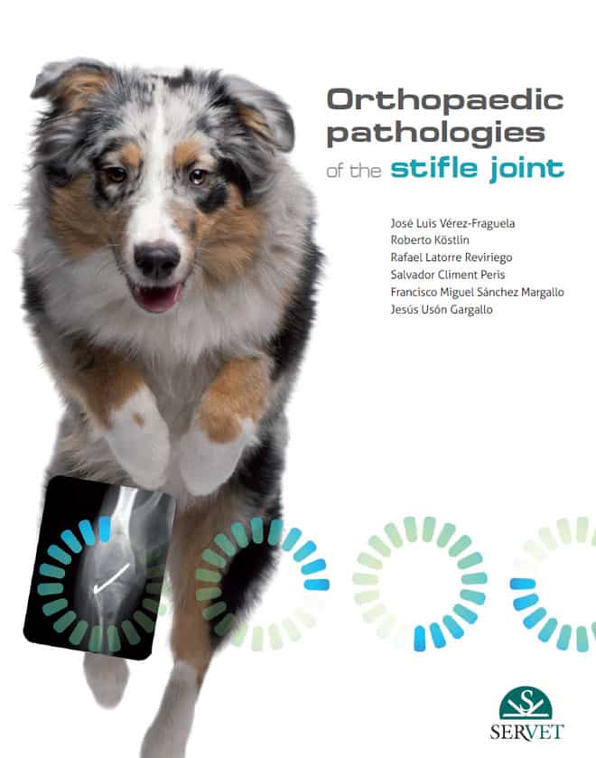 Orthopaedic  Pathologies of the Stifle Joint