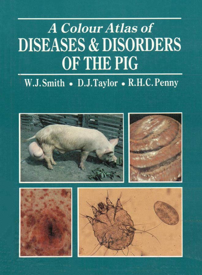 A Color Atlas of Diseases and Disorders Of The Pig