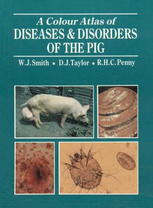 A Color Atlas of Diseases and Disorders Of The Pig