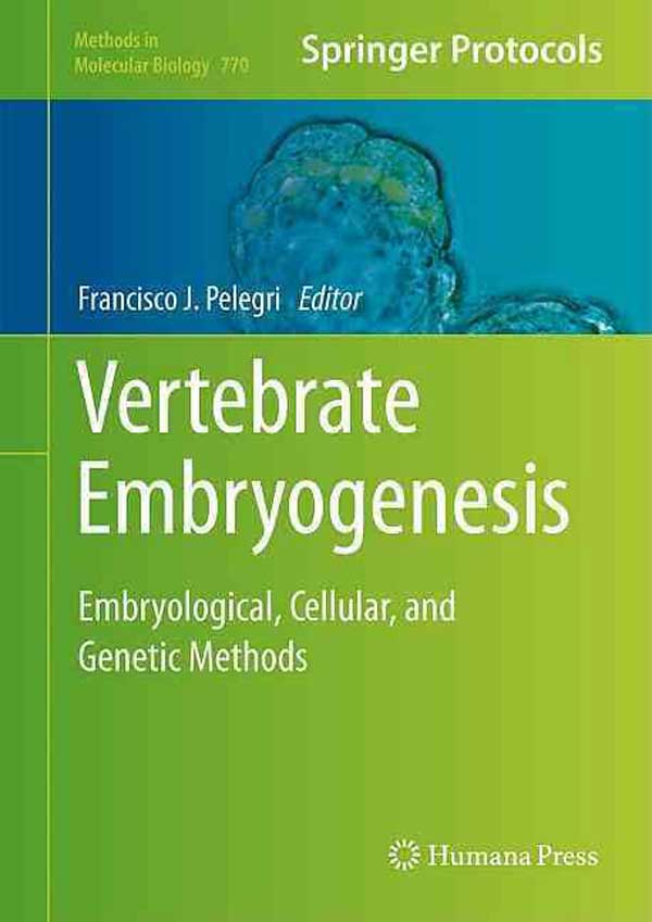 Vertebrate Embryogenesis