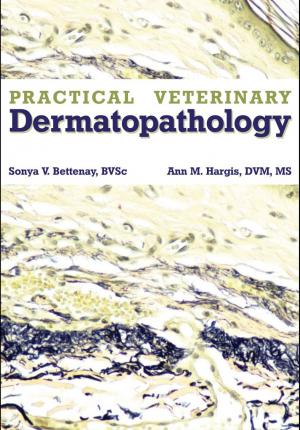 Practical Veterinary Dermatopathology